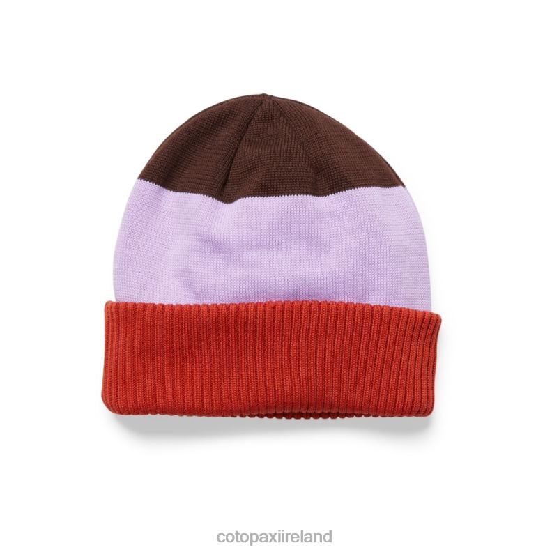 Alto Beanie Unisex Cotopaxi Spice/Thistle VPHP4178 Accessories