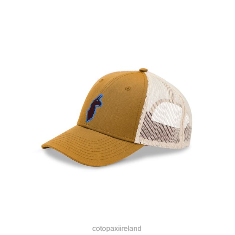 The Llama Trucker Hat Unisex Cotopaxi Amber VPHP4184 Accessories