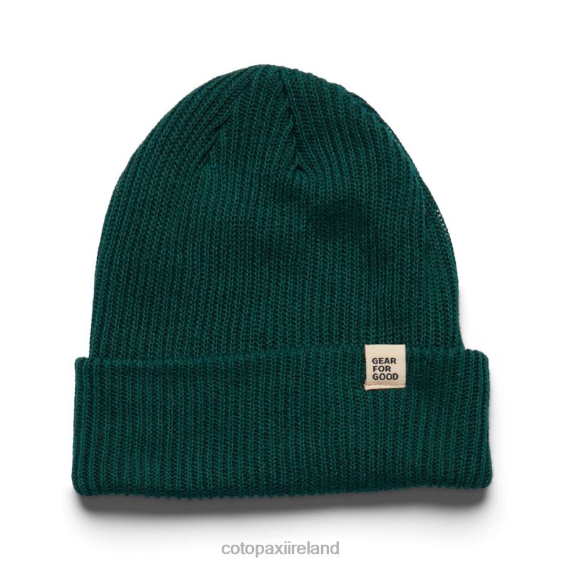 Wharf Beanie Unisex Cotopaxi Forest VPHP4182 Accessories