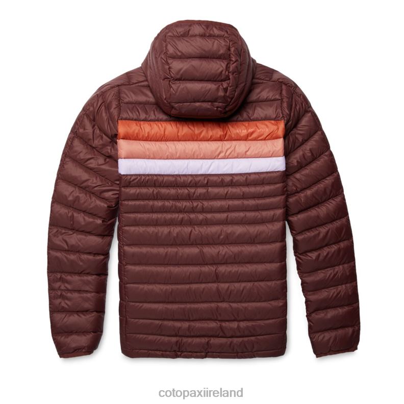 Fuego Down Hooded Pullover Women Cotopaxi Chestnut Stripes VPHP45 Clothing